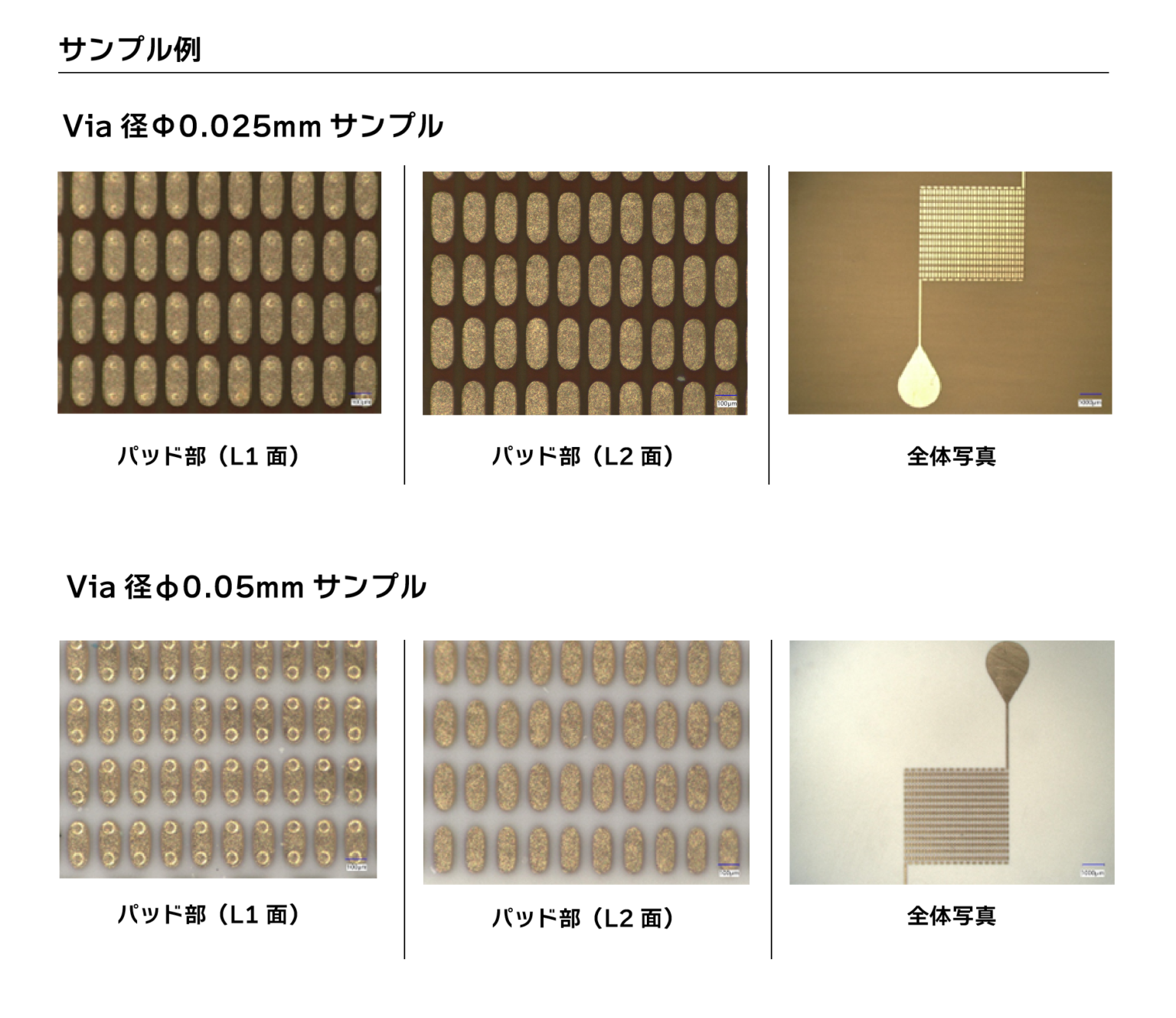 サンプル例